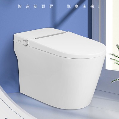 太陽雨智能馬桶/30/40坑距/即熱低水箱/漩沖/坐圈加熱/洗護(hù)/暖風(fēng)/離座沖水/遙控