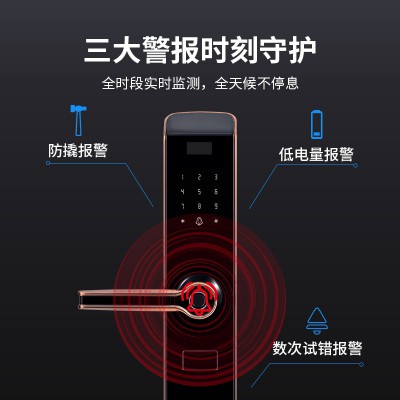 太陽雨智能鎖/紅古銅鋅合金/5種開鎖/防撬報警/鋼體鎖芯/ZW0004